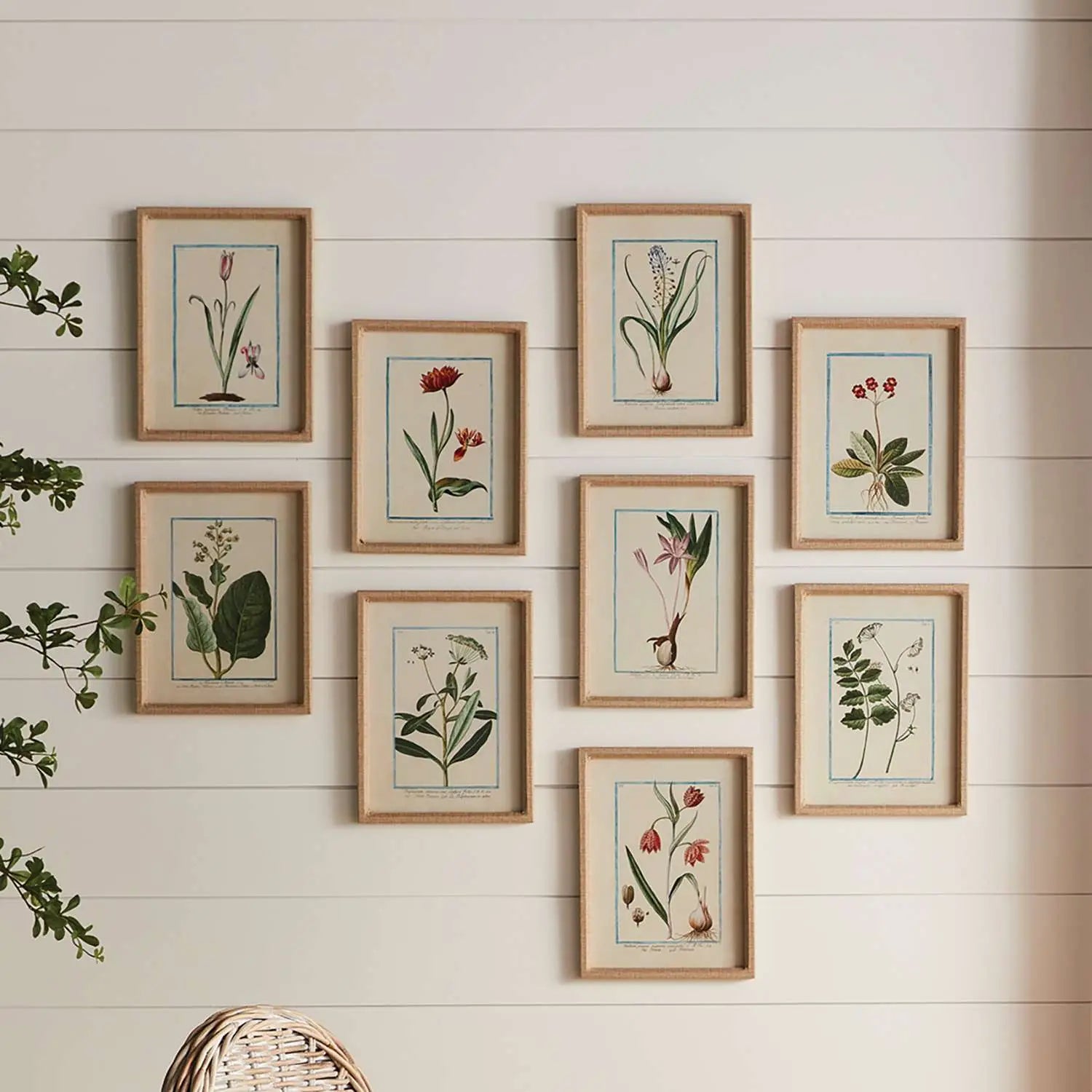 Dainty Floral and Fauna Study (Set of 9)