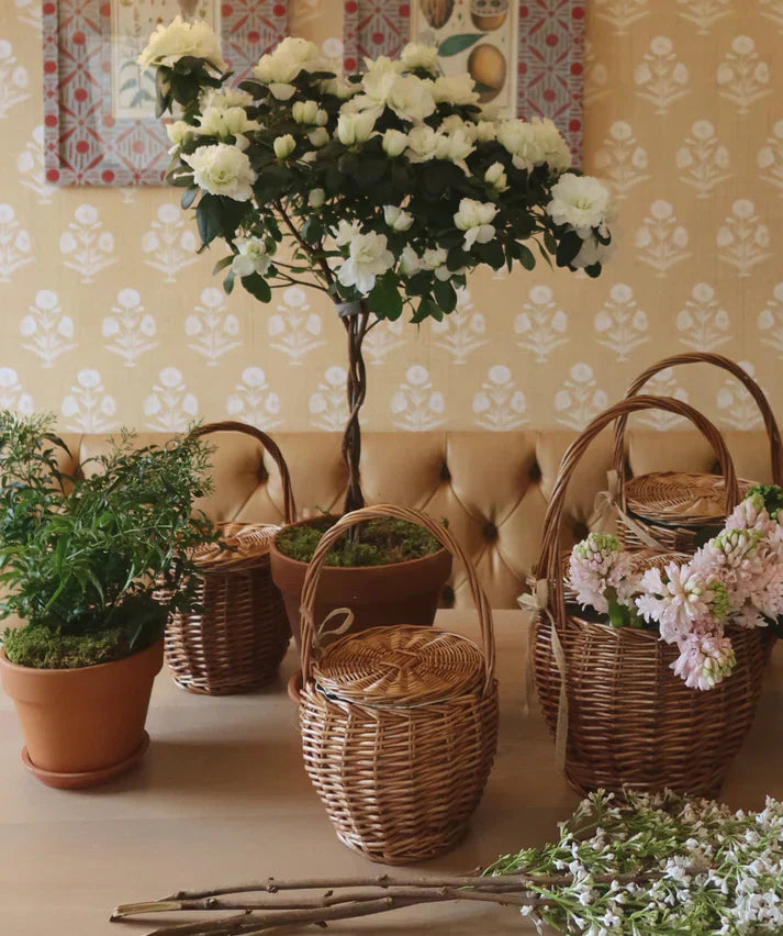 Save-The-Date: Kinderbrook Home x NLS
