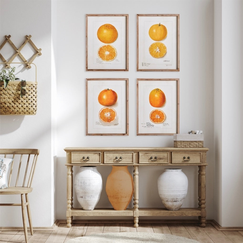 A Set of Four Citrus Studies in Wooden Frames (Copy)