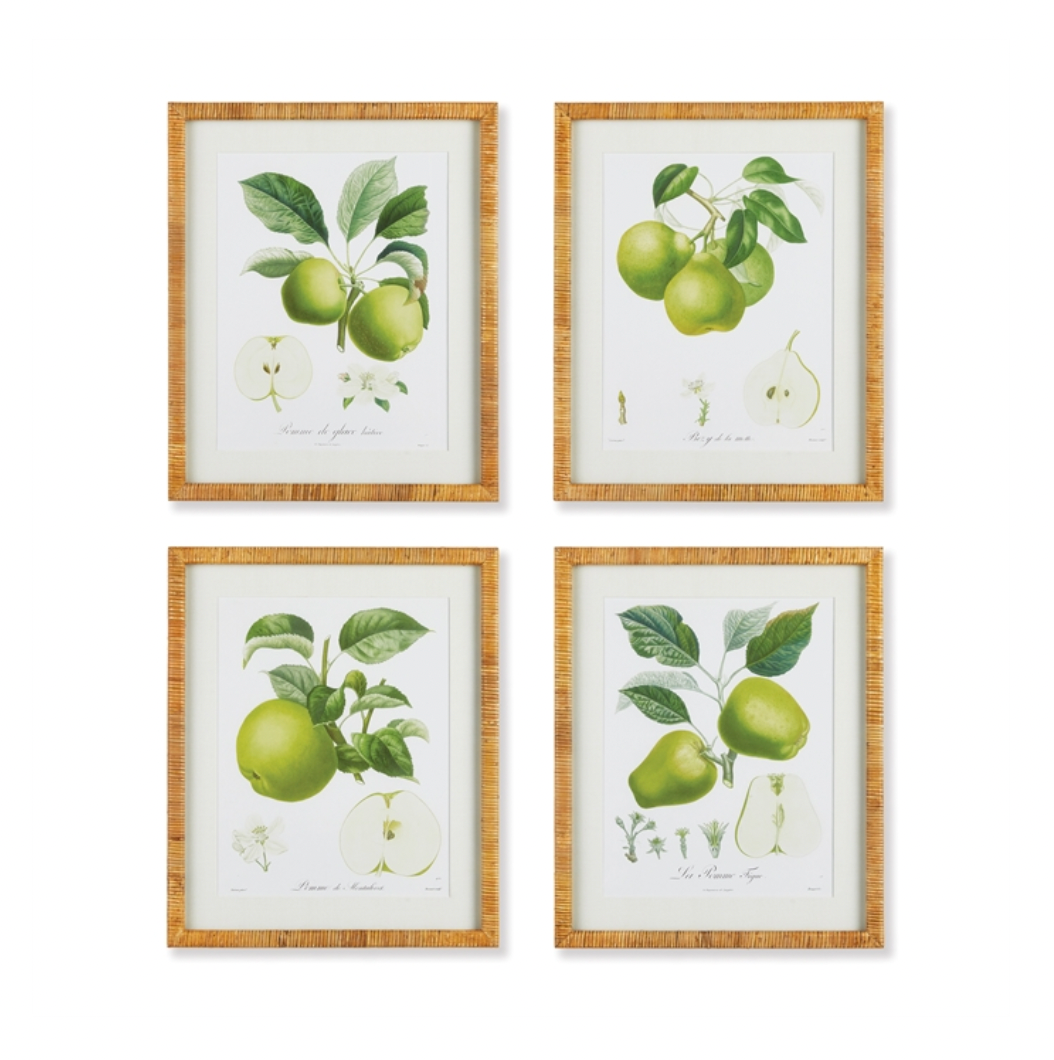 A Set of Four Fruit Studies in Rattan Frames | Newport Lamp And Shade | Located in Newport, RI