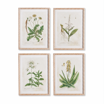 A Set of Four Vintage Style Botanical Studies | Newport Lamp And Shade | Located in Newport, RI