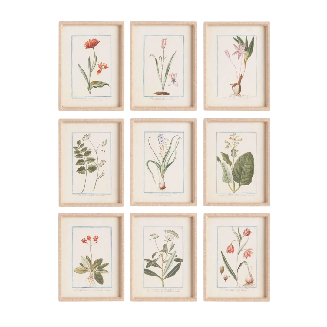 Dainty Floral and Fauna Study (Set of 9)