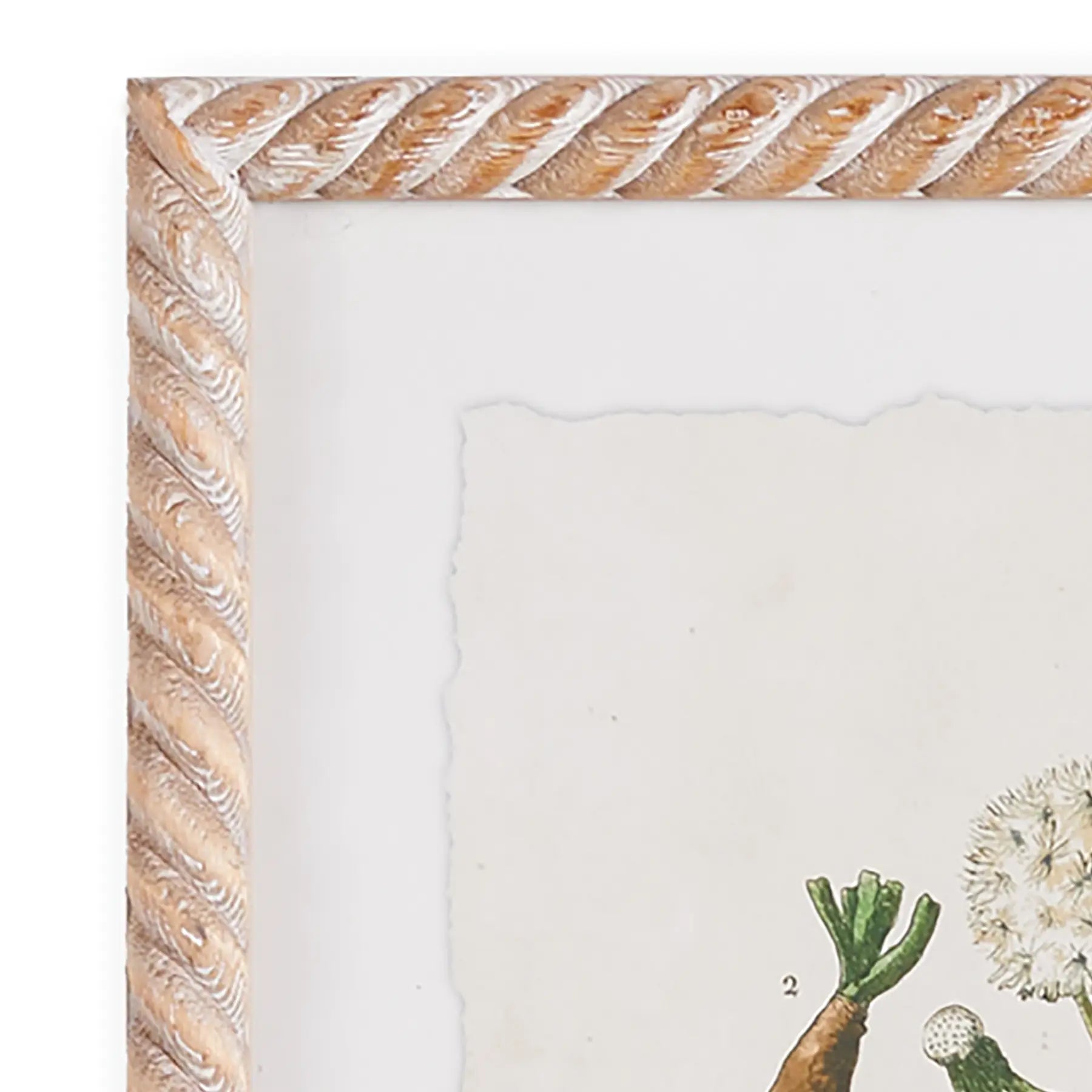 A Set of Four Vintage Style Botanical Studies