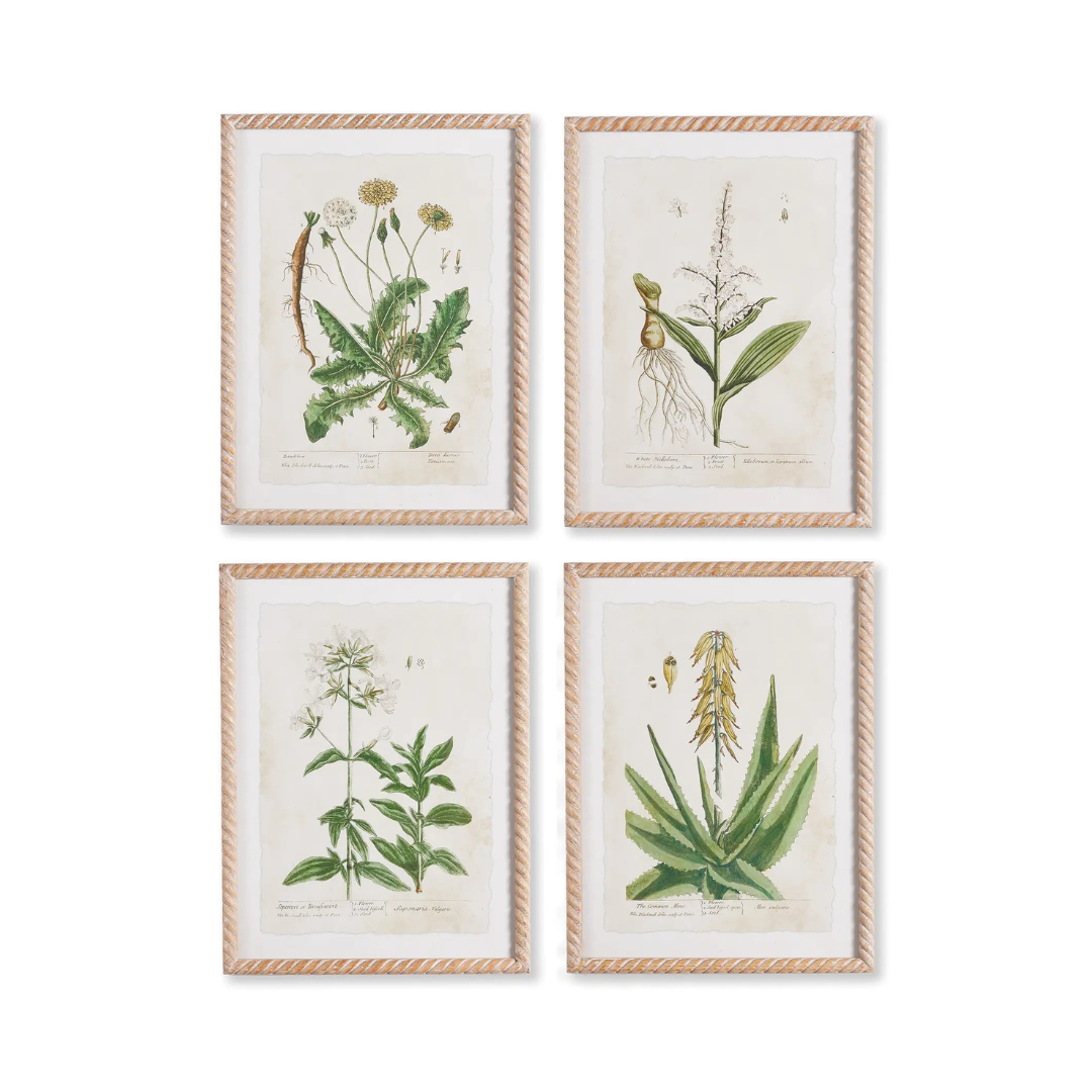 A Set of Four Vintage Style Botanical Studies