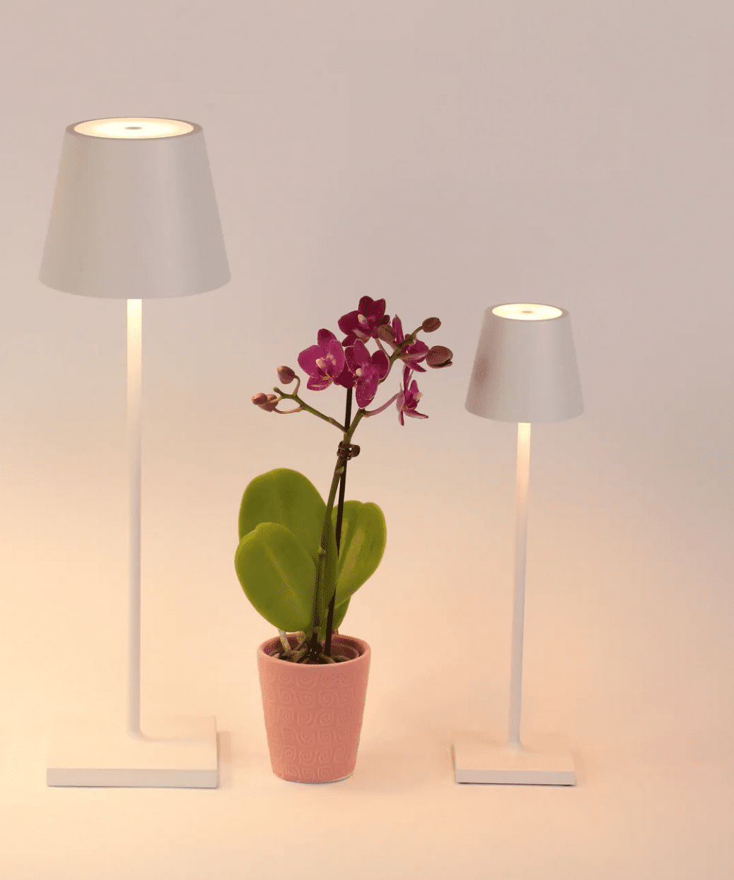 Poldina Pro Micro Cordless Table Lamp | Newport Lamp And Shade | Located in Newport, RI