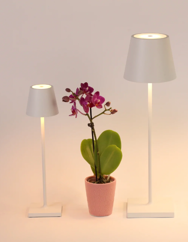 Poldina Pro Cordless Table Lamp | Newport Lamp And Shade | Located in Newport, RI